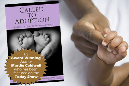Called to Adoption Information and Advice for Christians Considering Adoption books and articles adoptive parents
